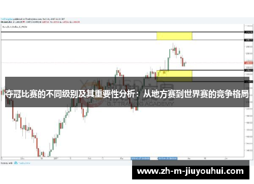 夺冠比赛的不同级别及其重要性分析：从地方赛到世界赛的竞争格局
