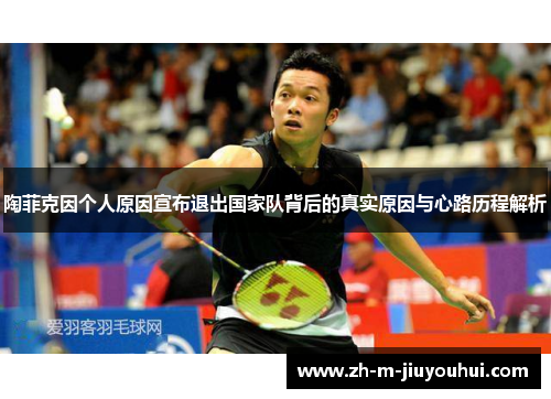 陶菲克因个人原因宣布退出国家队背后的真实原因与心路历程解析