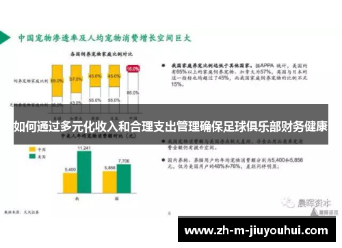 如何通过多元化收入和合理支出管理确保足球俱乐部财务健康 如何通过多元化收入和合理支出管理确保足球俱乐部财务健康